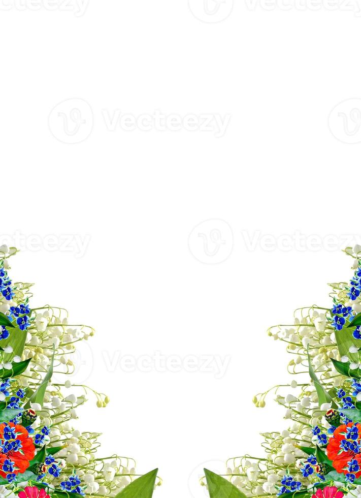 Beautiful flowers isolated on white background. Floral background. photo