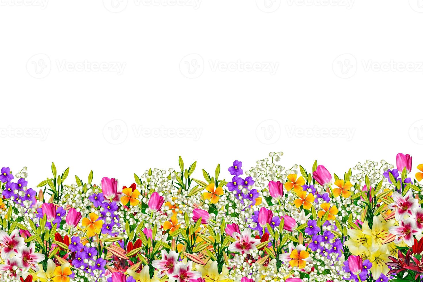 Colorful spring flowers photo