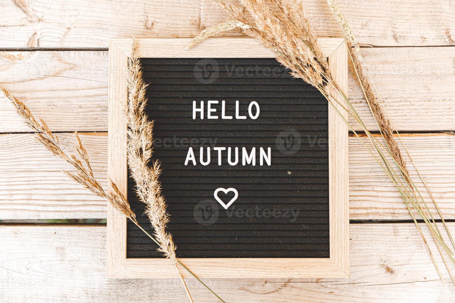 Autumnal Background. Black letter board with text phrase Hello Autumn and dried plant lying on wooden palnks. Top view, flat lay. Thanksgiving banner. Hygge mood cold weather concept photo