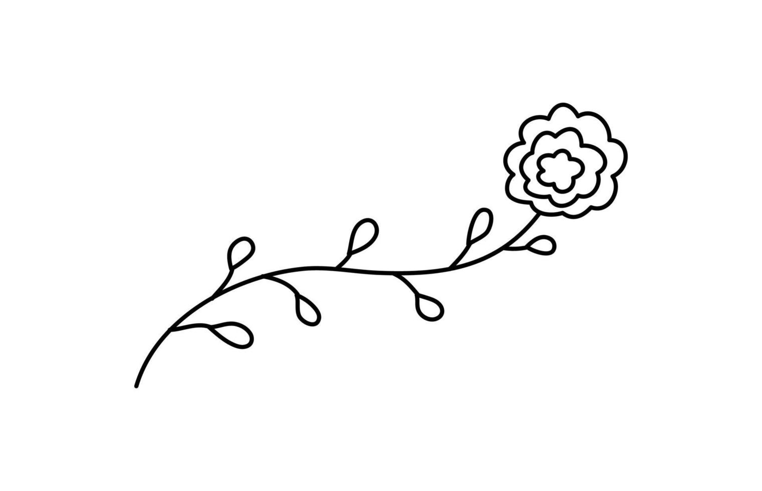 vector simple flor dibujada a mano ilustración botánica. ilustraciones de línea, elemento de diseño mínimo. garabatos de plantas elegantes y delicados para la marca, diseño gráfico. flores de primavera