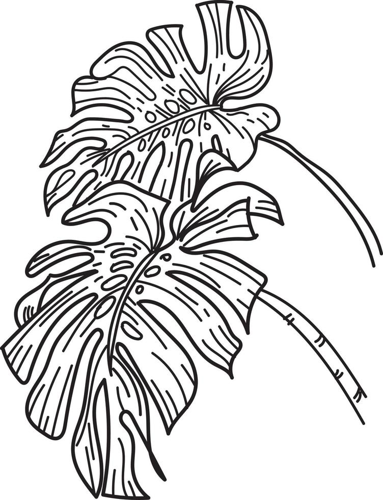 monstera summer leaf vector 3