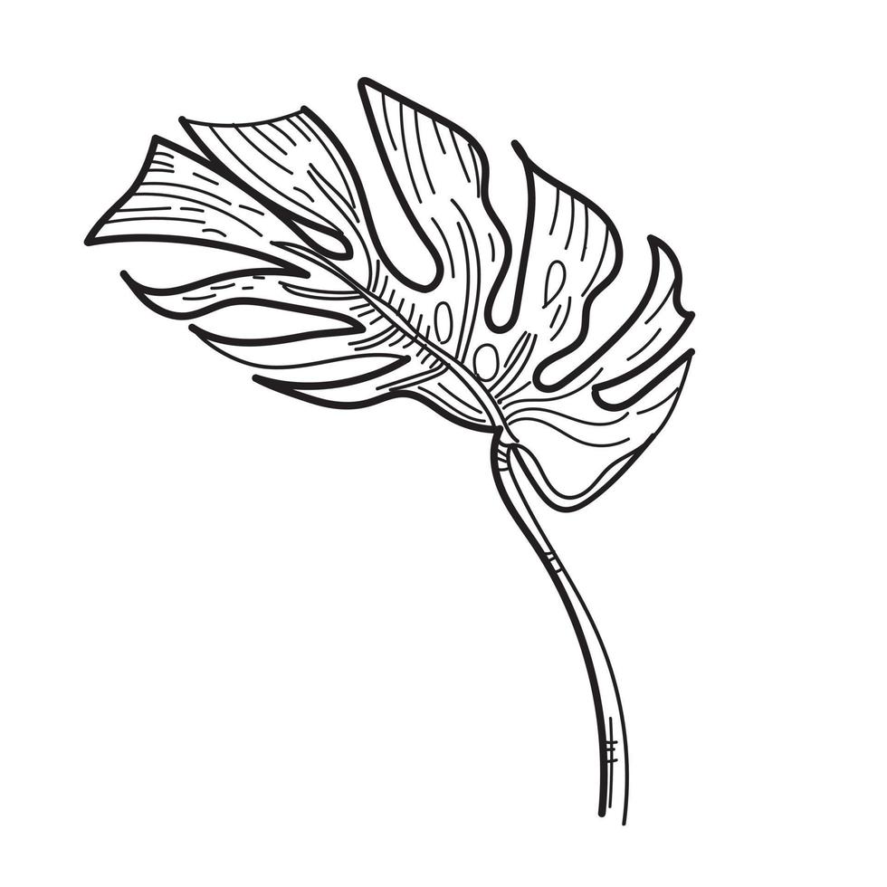 monstera summer leaf vector 1