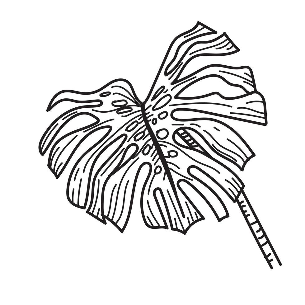 monstera summer leaf vector 4