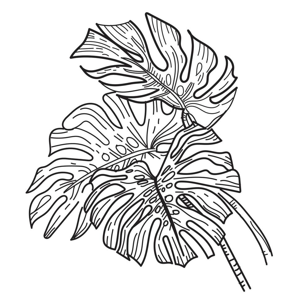 monstera summer leaf vector 5