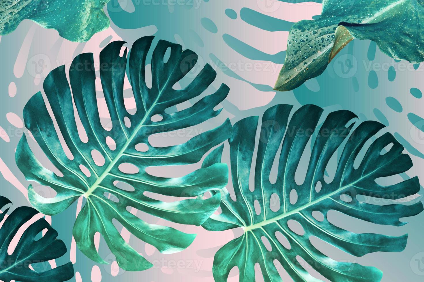 leaves of monsters photo