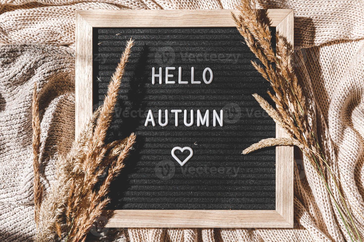 Autumnal Background. Black letter board with text phrase Hello Autumn and dried grass lying on white knitted sweater. Top view, flat lay. Thanksgiving banner. Hygge mood cold weather concept photo