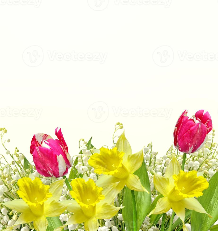 My Image 10
