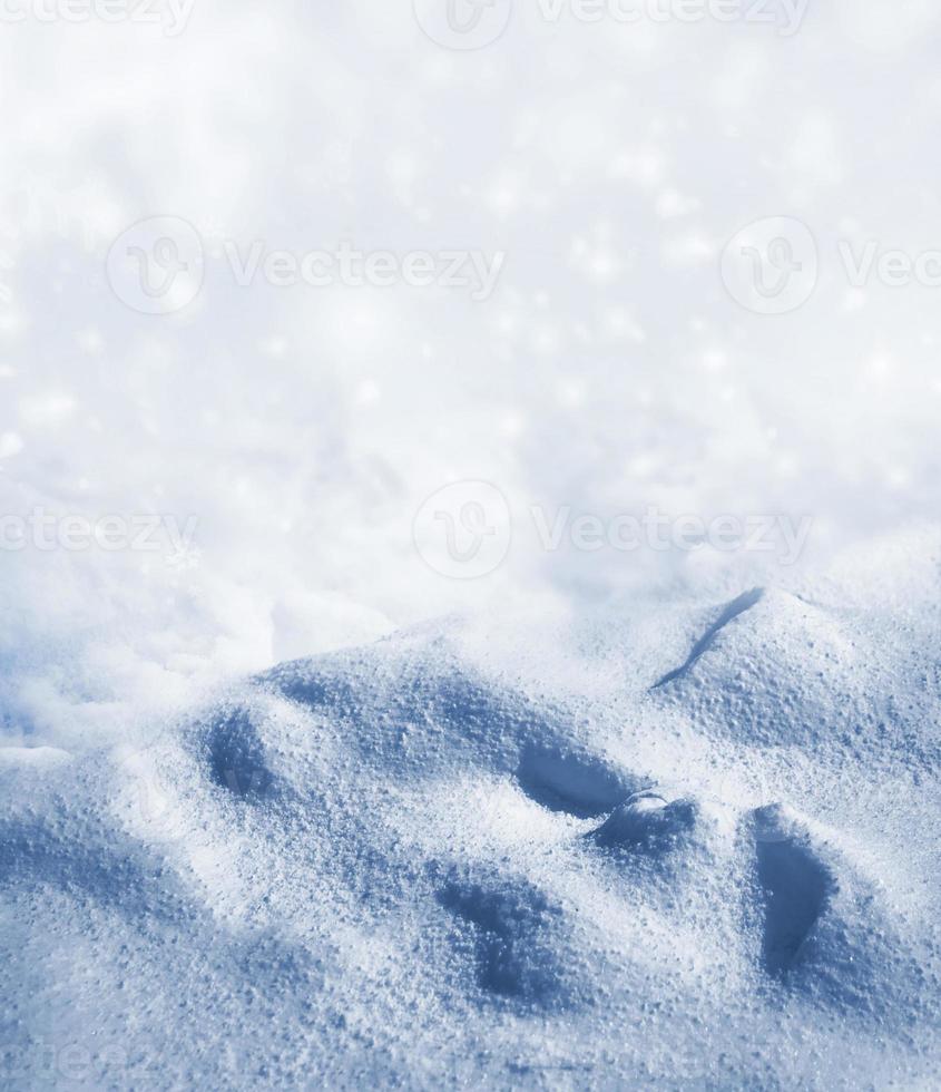 Background of snow. Winter landscape. Photo. photo