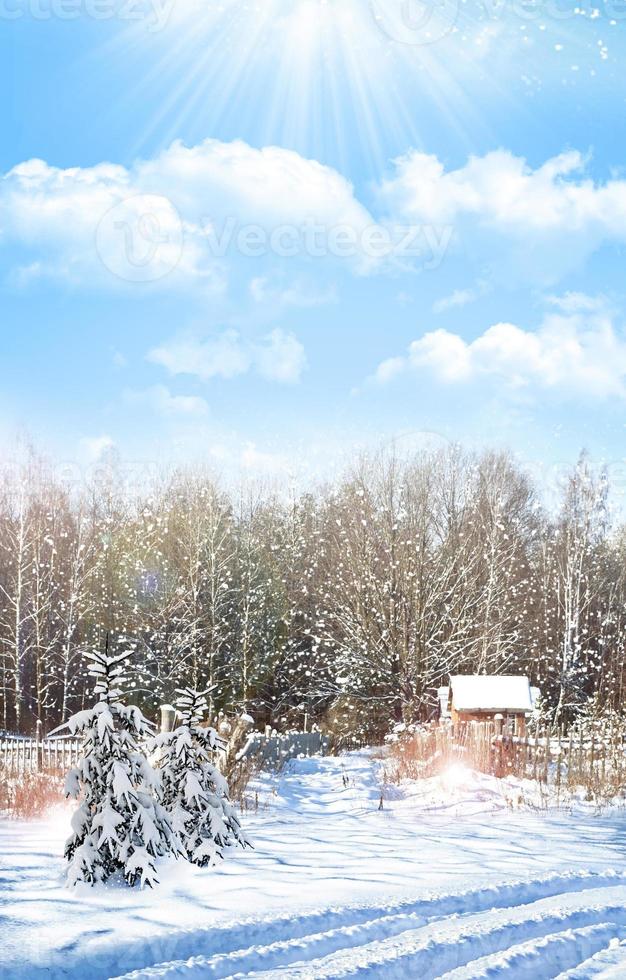 The village in winter forest photo