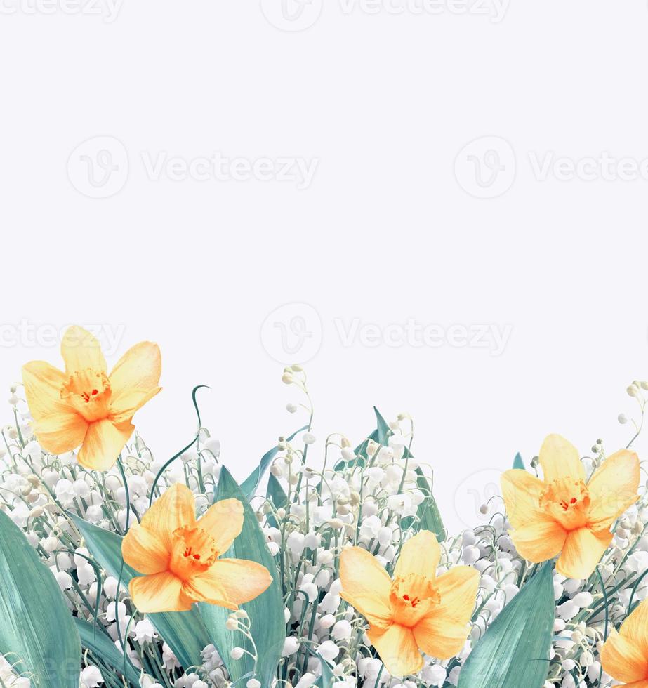 My Image 20