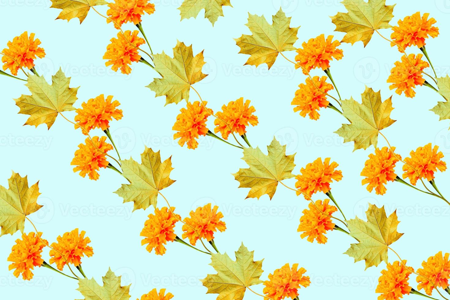 Colorful and bright marigold flowers and autumn leaves photo