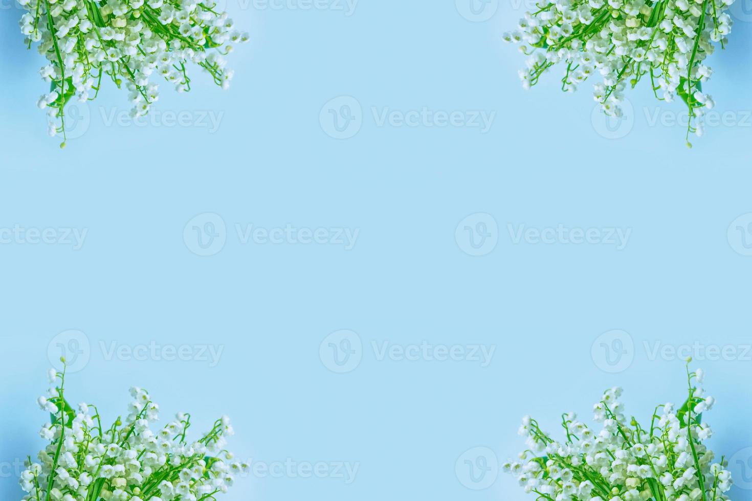 Spring background. flowers lily of the valley photo