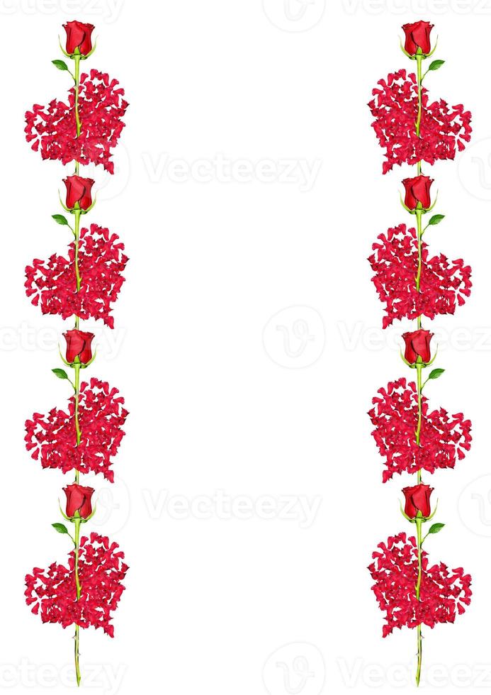 Heart of flowers rose isolated on white background. photo