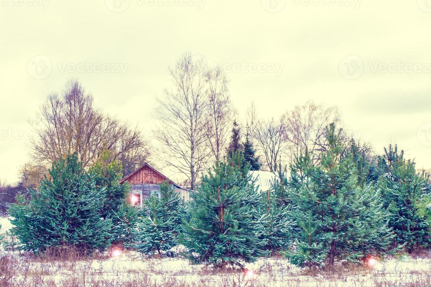 pueblo en el bosque cubierto de nieve de invierno. tarjeta de vacaciones foto