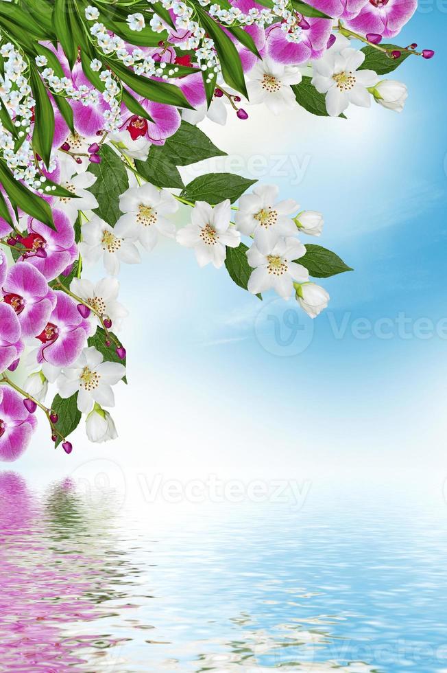 rama de flores de jazmín sobre un fondo de cielo azul con nubes 9869637  Foto de stock en Vecteezy