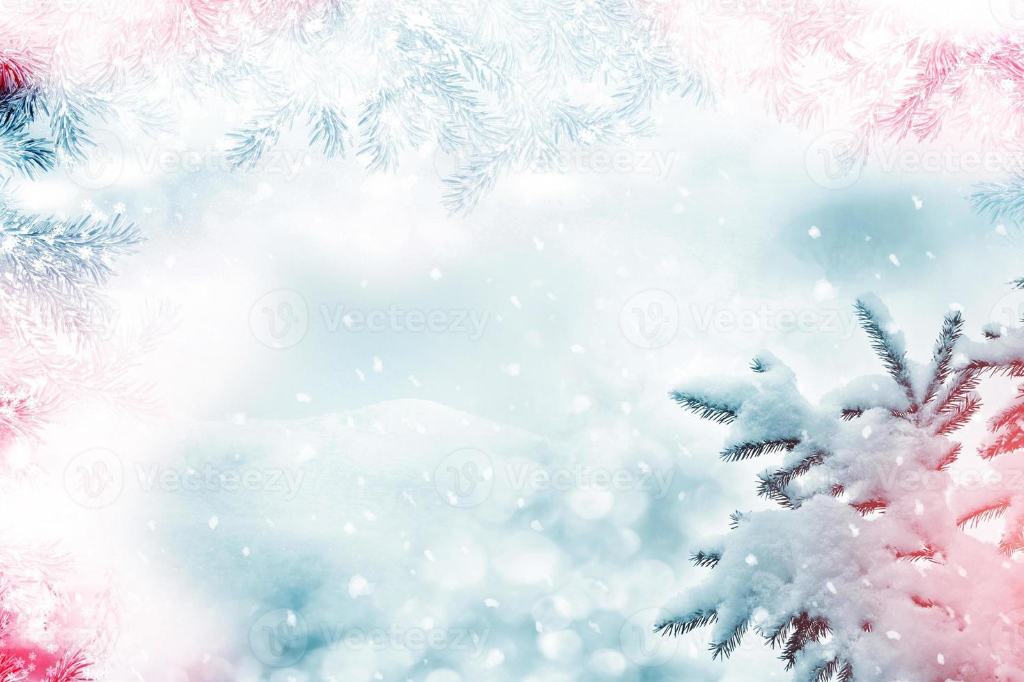 forest in the frost. Winter landscape. Snow covered trees. photo