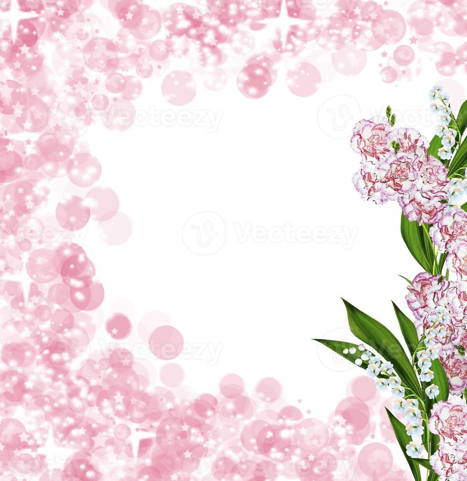 branch of beautiful flowers carnation photo
