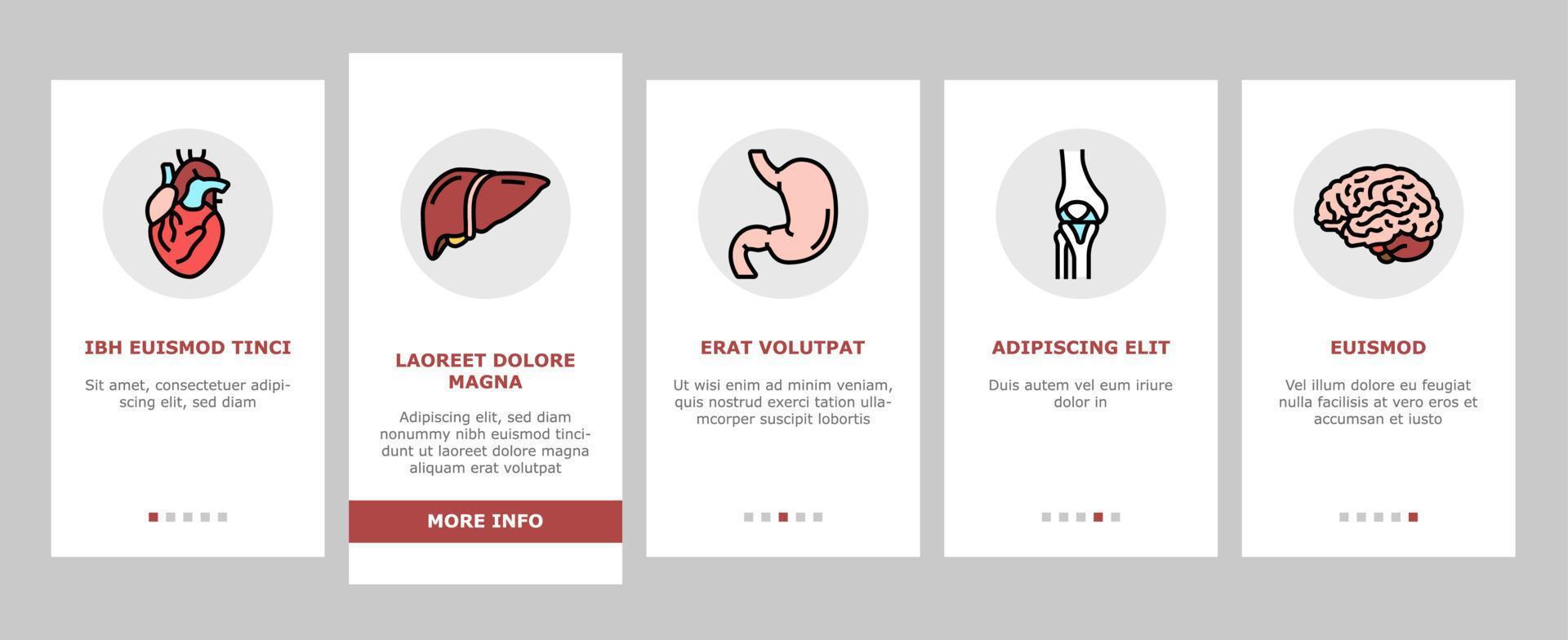 Human Internal Organ Anatomy Onboarding Icons Set Vector