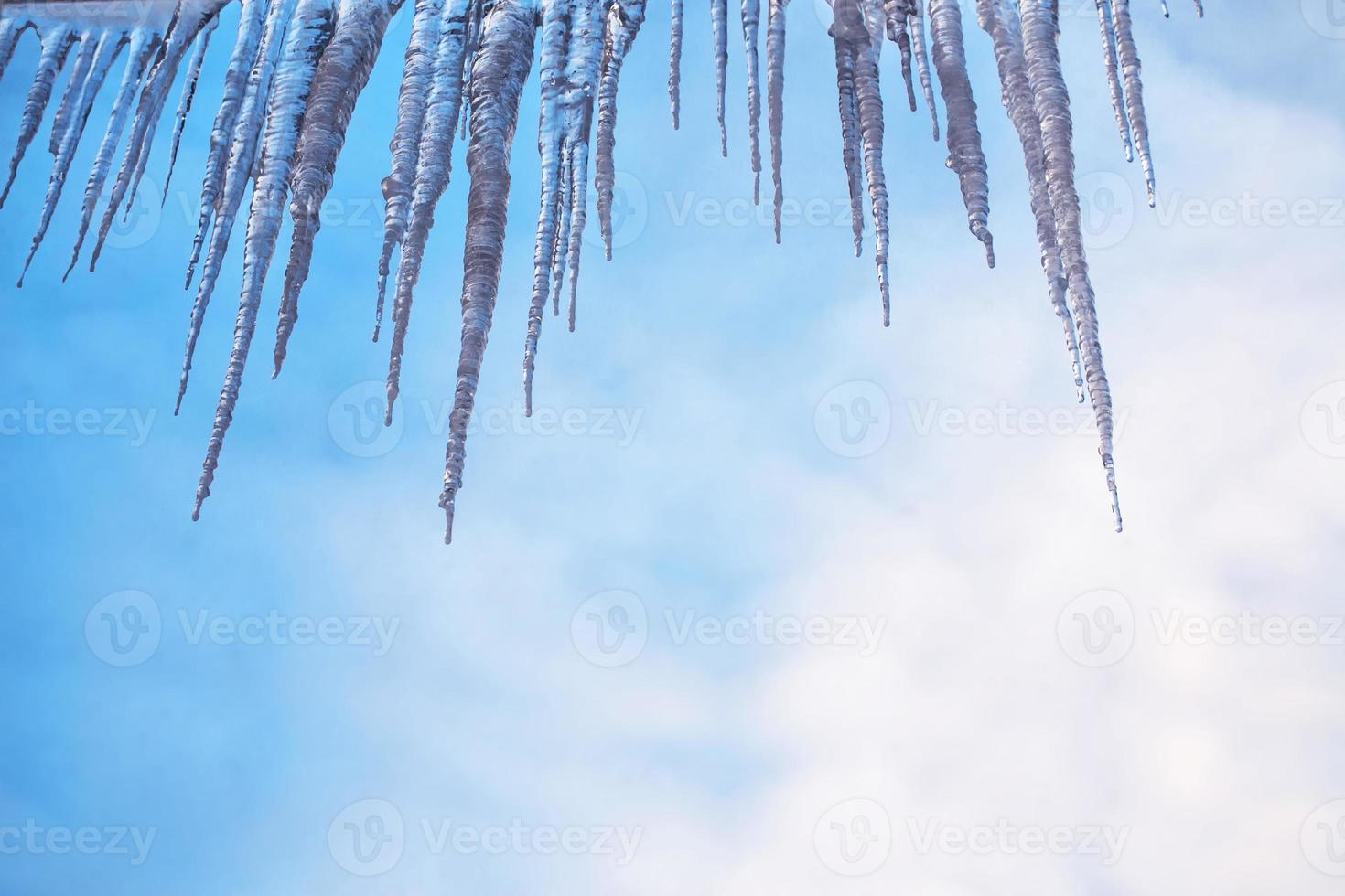 White icicles against the blue winter sky. photo