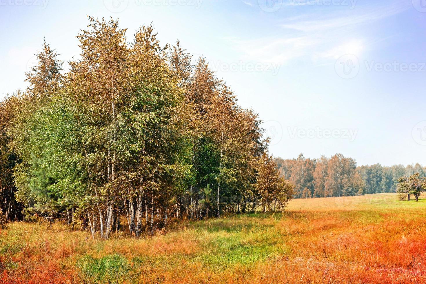 Autumn landscape. leaves. Colorful trees. Indian summer photo