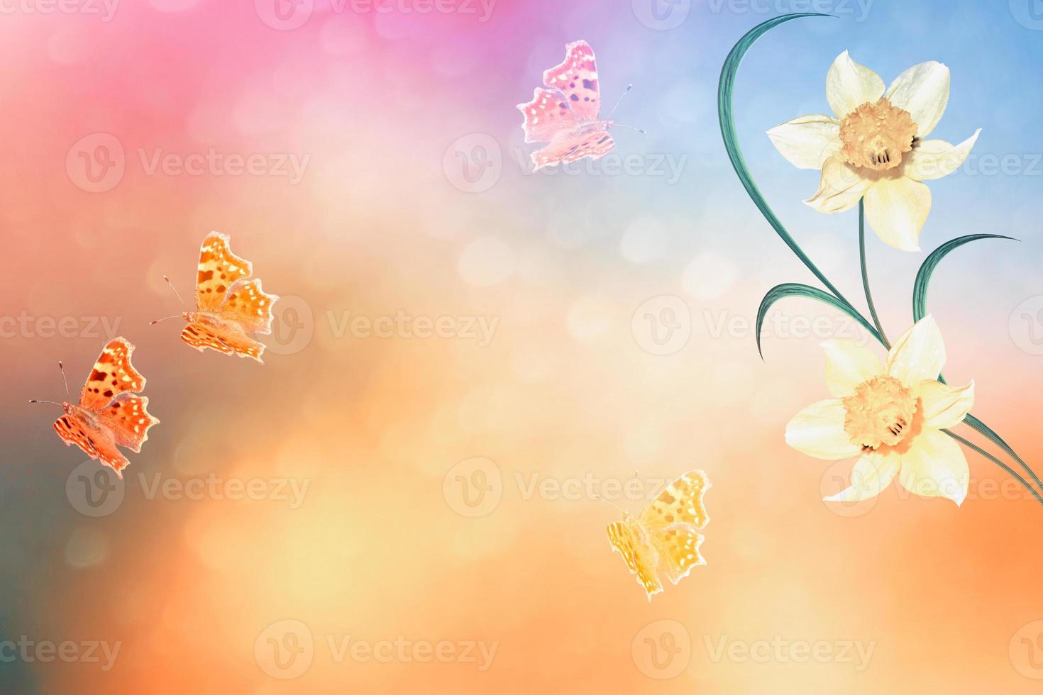 Bright and colorful spring flowers daffodils. landscape photo