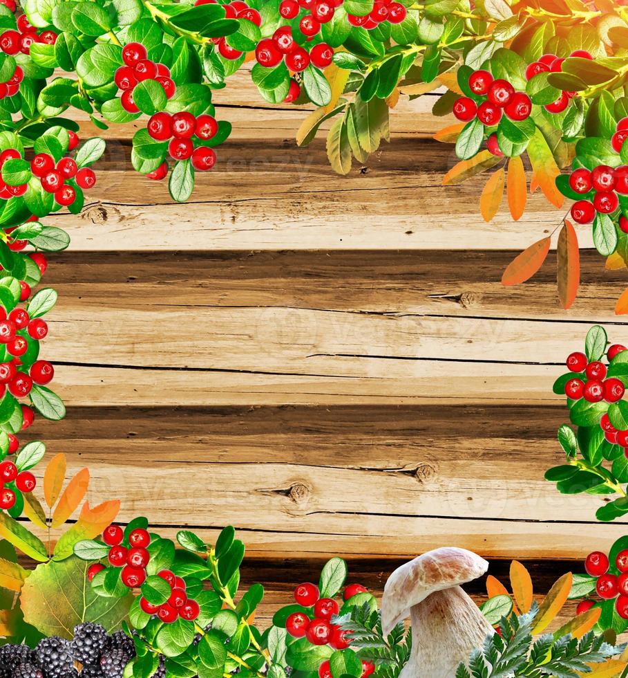 Bright colorful autumn foliage. Indian summer. berries photo