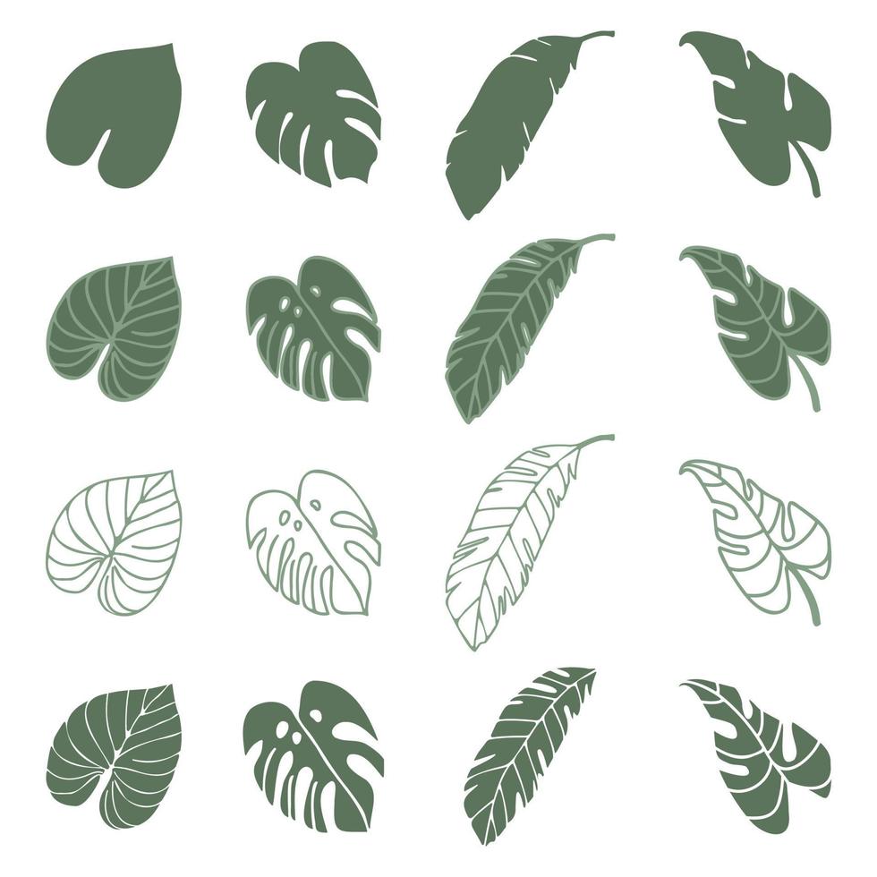 Vector tropical palm leaves, jungle leaves, split leaf, philodendron leaves, set isolated on white background