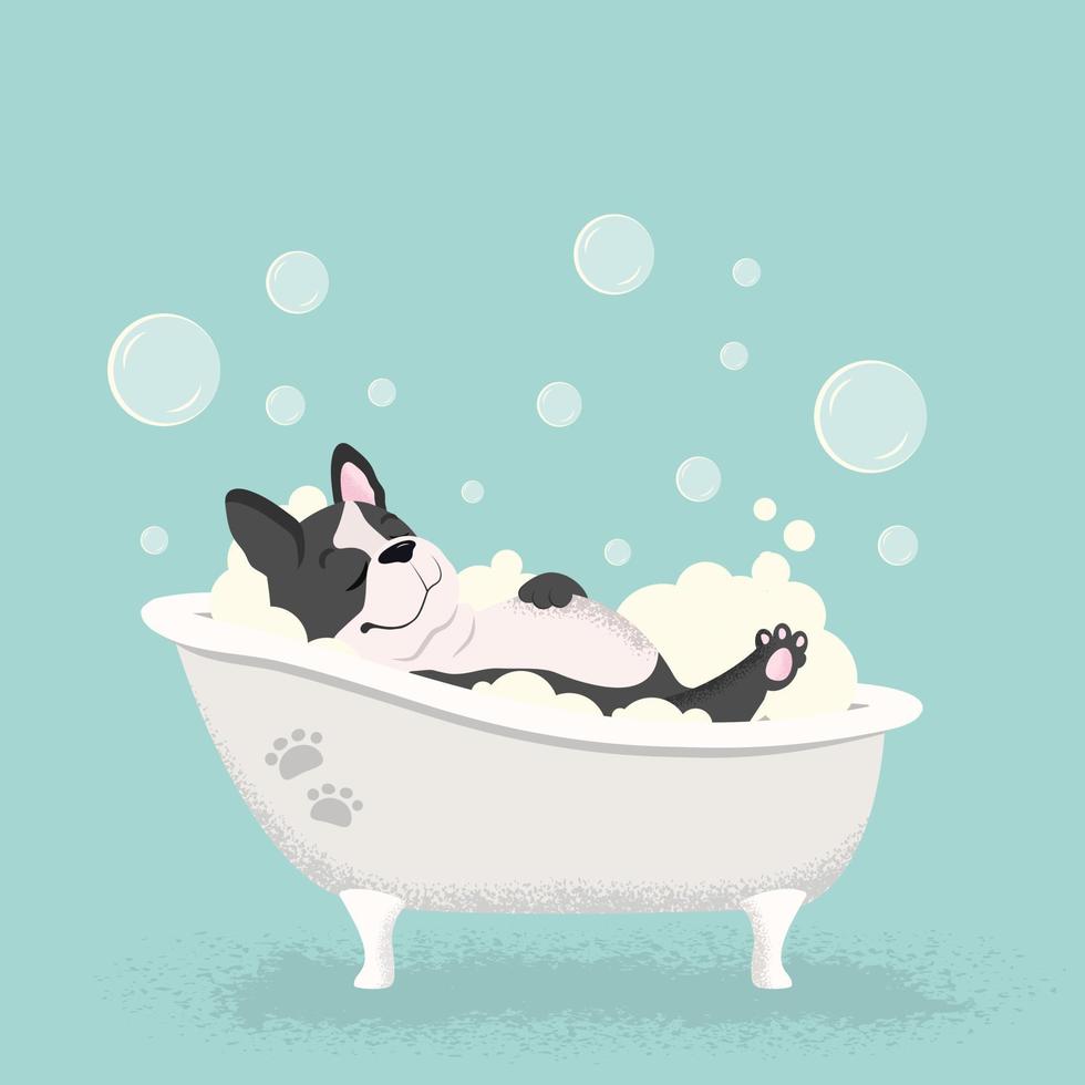 personaje de dibujos animados de bulldog francés tomando un baño en el icono de línea de vector de baño