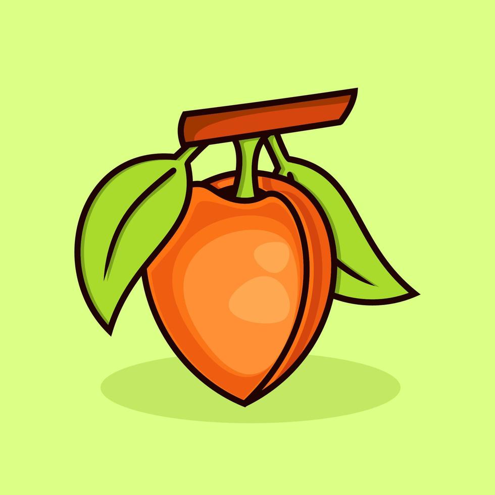 apricot fruit illustration. Vector cartoon fresh