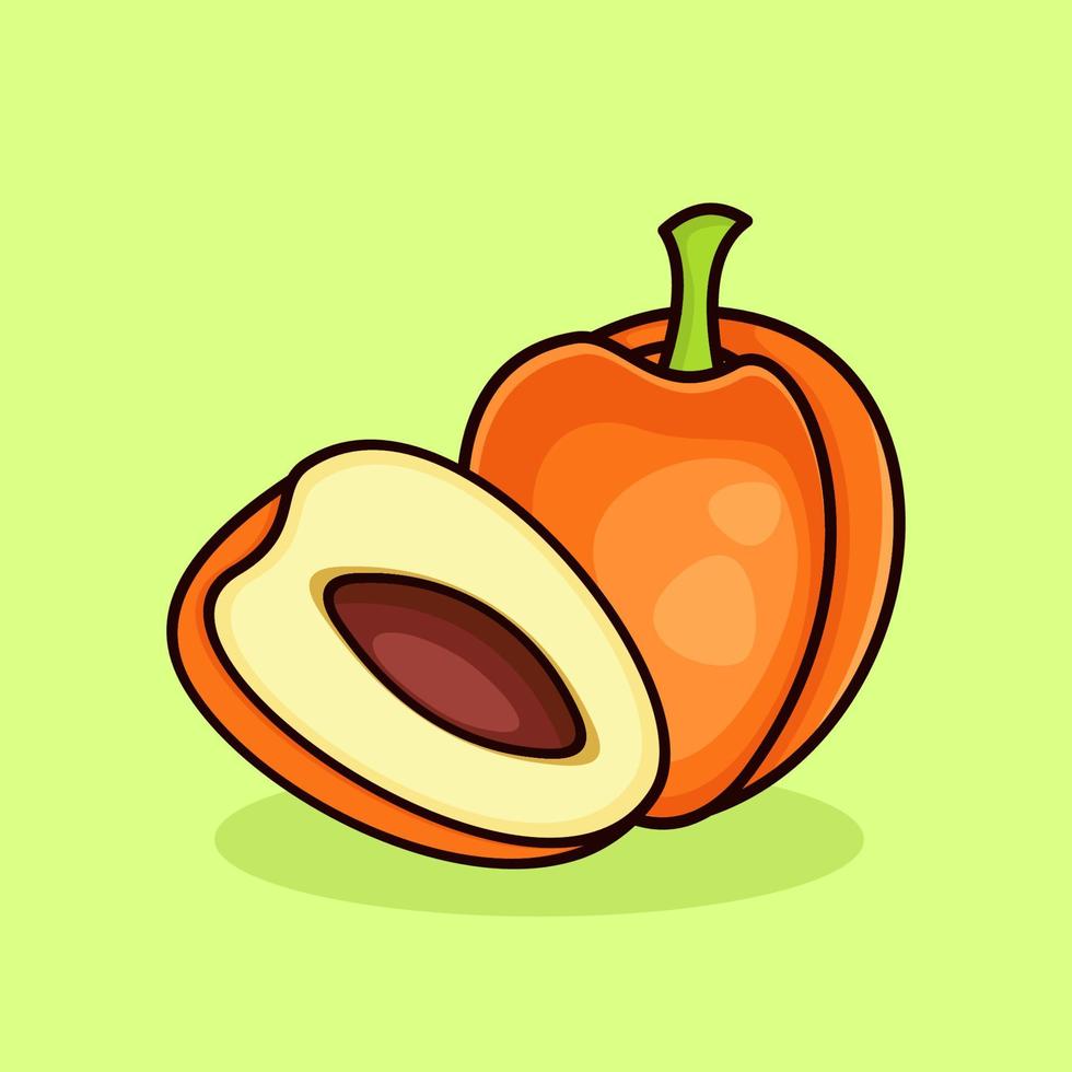 ilustración de fruta de albaricoque. vector de dibujos animados fresco