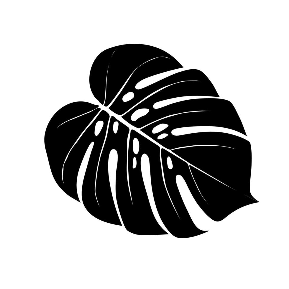 Monstera Deliciosa plant leaf from tropical forests isolated. Vector for greeting cards, flyers, invitations, web design