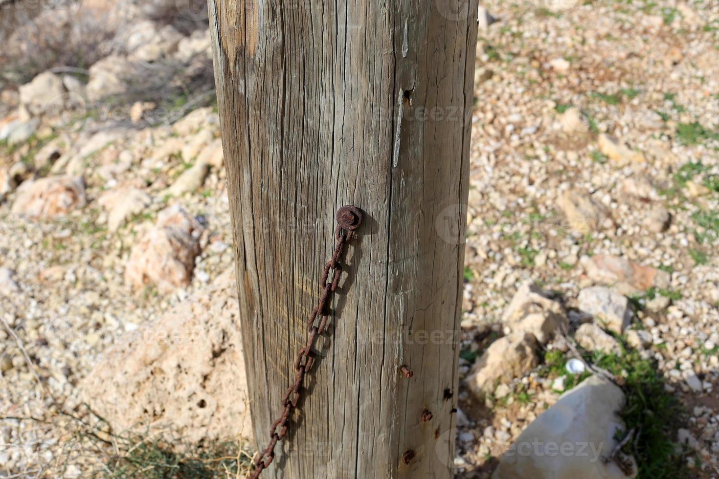 textura de madera y corteza de árbol. foto