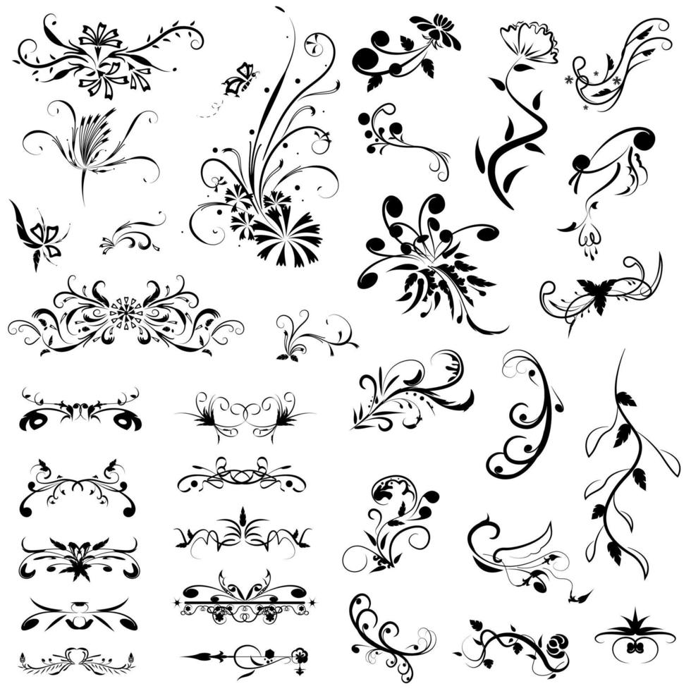 Calligraphic flower border elements vector