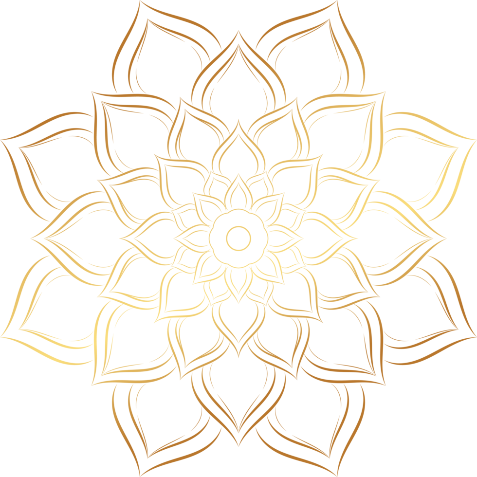 mandala pour la conception dessiné à la main png