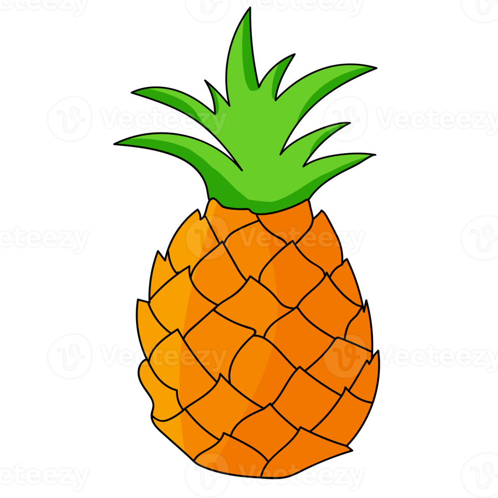 Ananas-Frucht-Illustration png