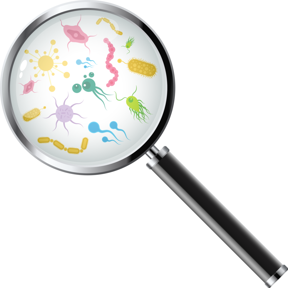 Microorganisms under a magnifying glass png