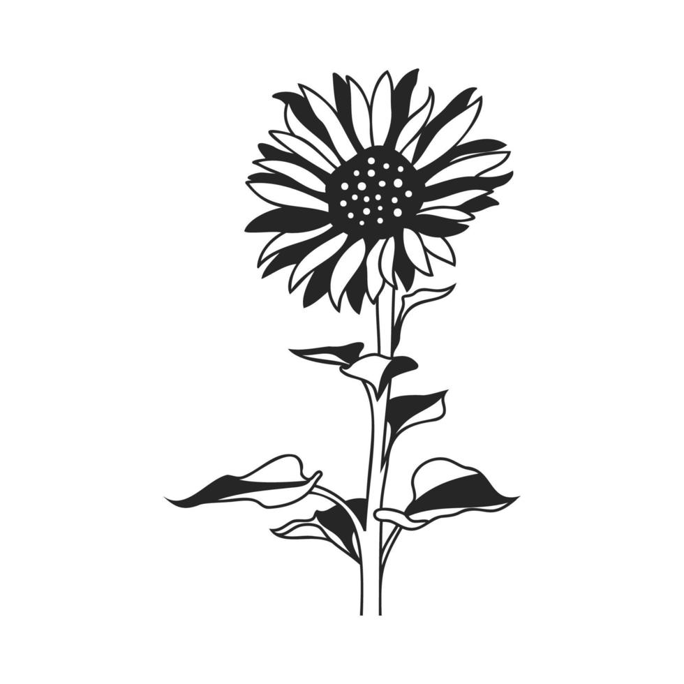 Sunflower wedding design, Vector illustration, Eps10