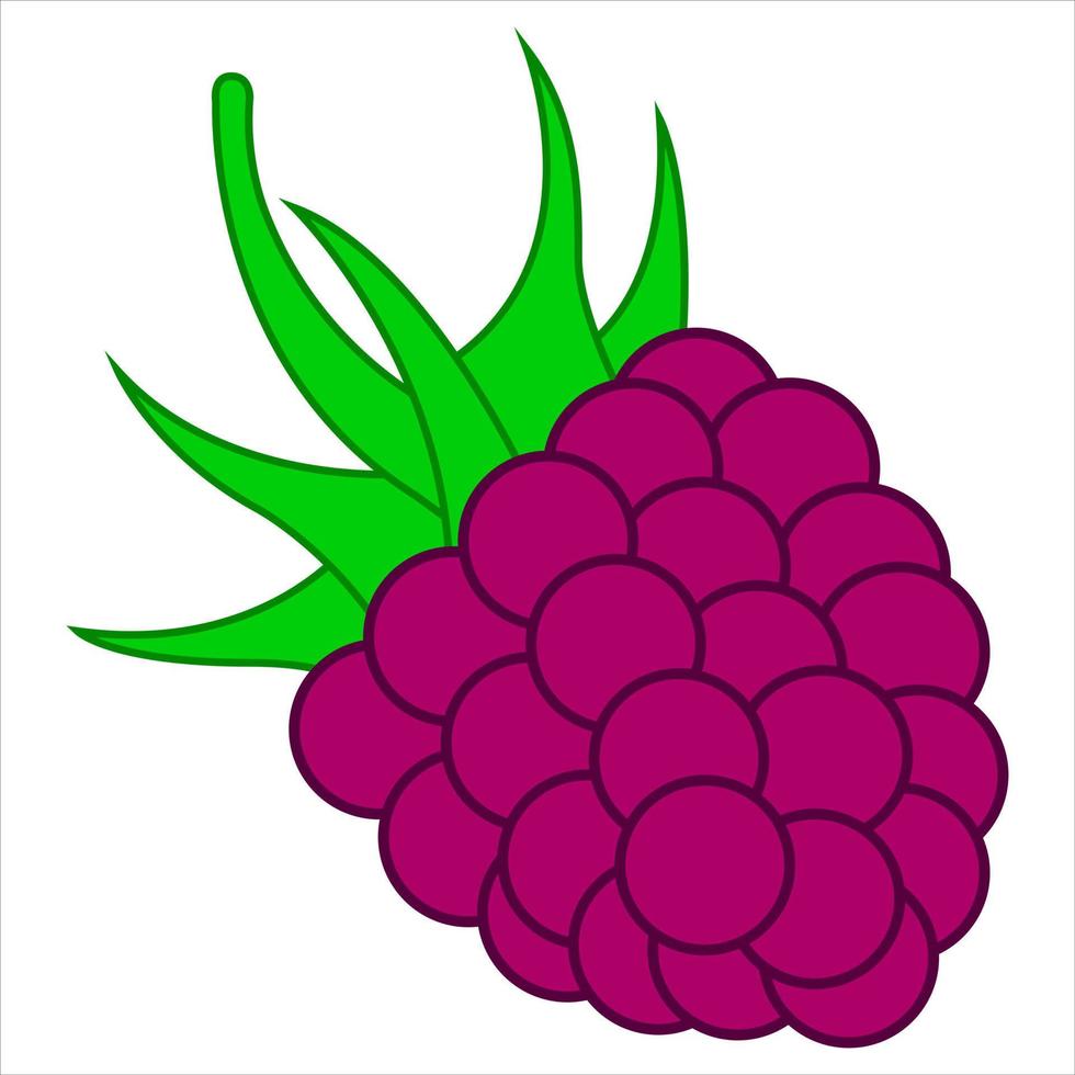 Wild raspberry fruit icon. Flat graphic design. Symbol on white background. vector