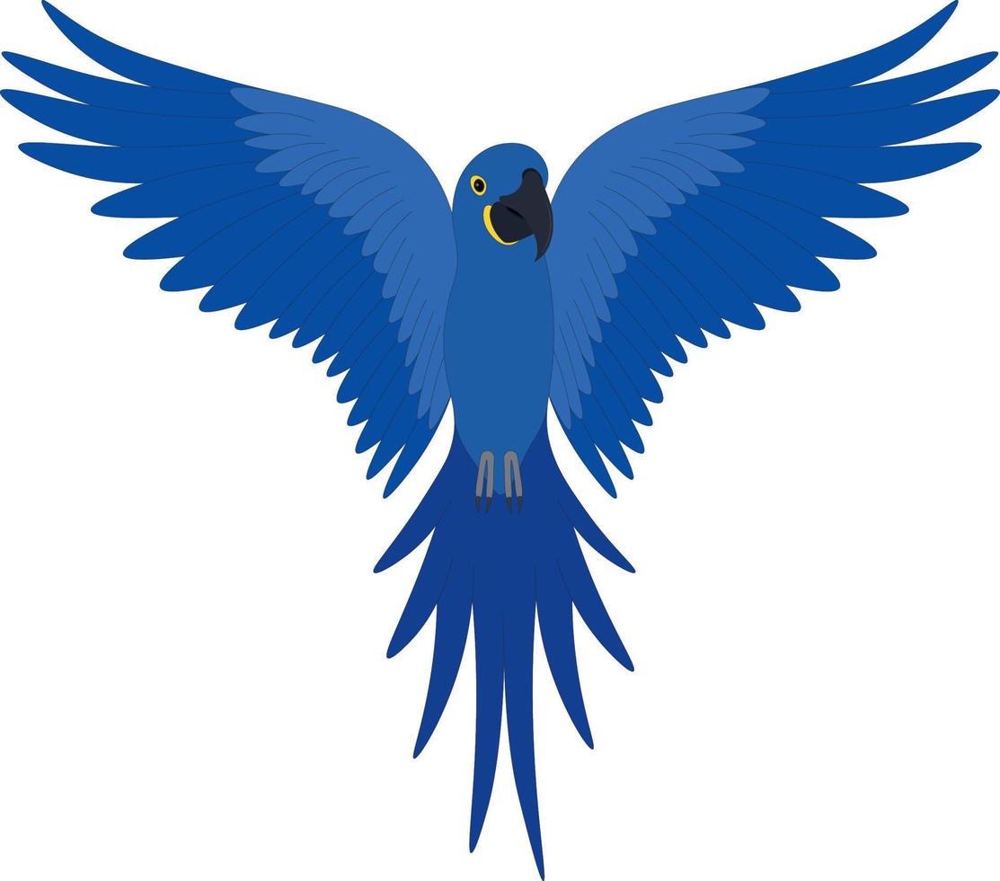 Flying blue hyacinth macaw parrot vector illustration