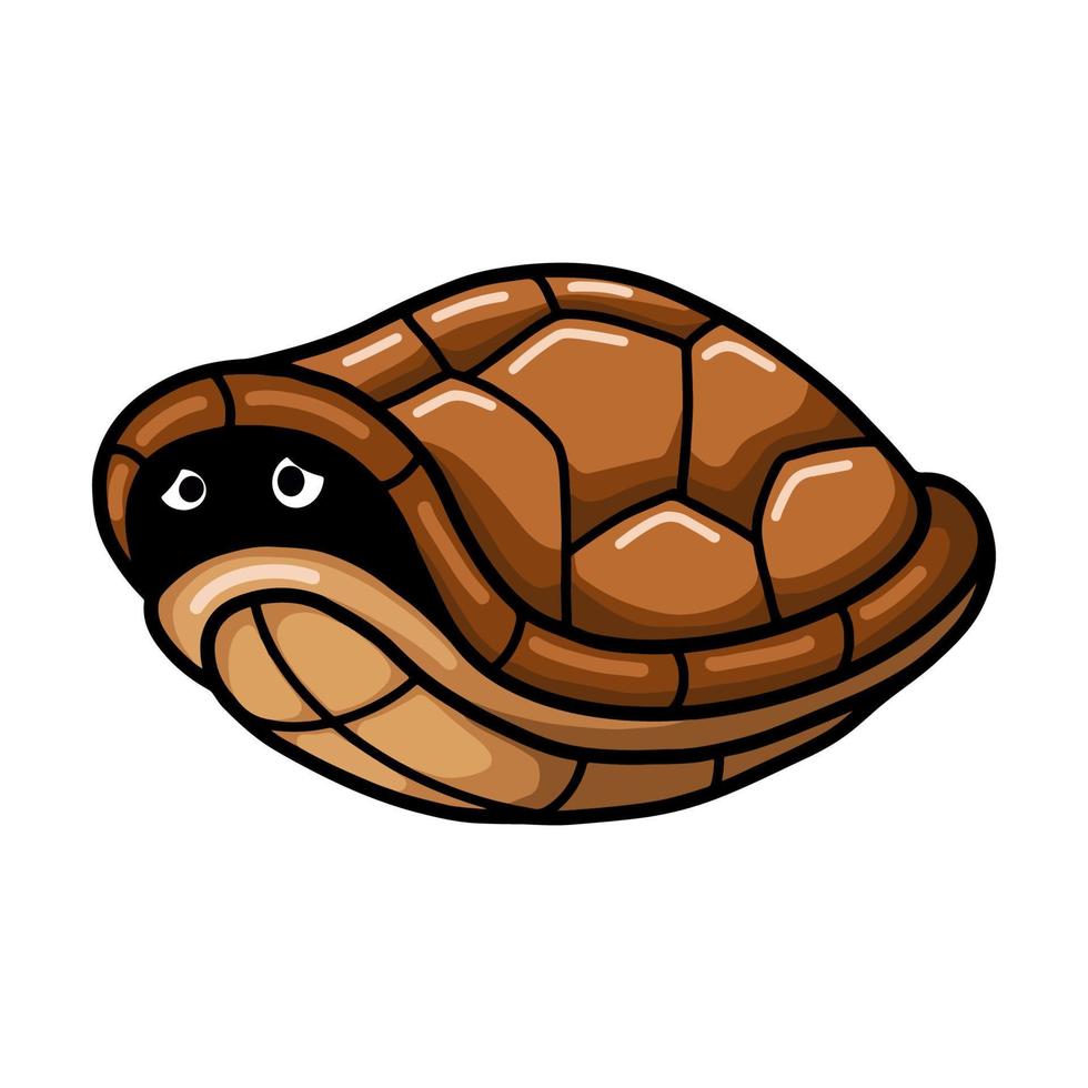 Cute turtle cartoon hides in its shell vector