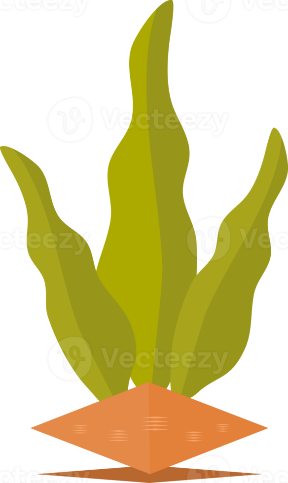 estetisk växt blomma krukväxt för dekorativa png