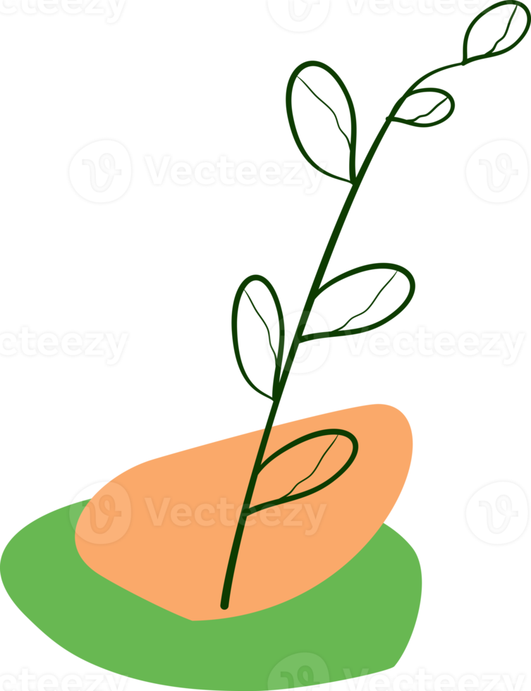 plante d'intérieur de fleur de plante esthétique pour la décoration png