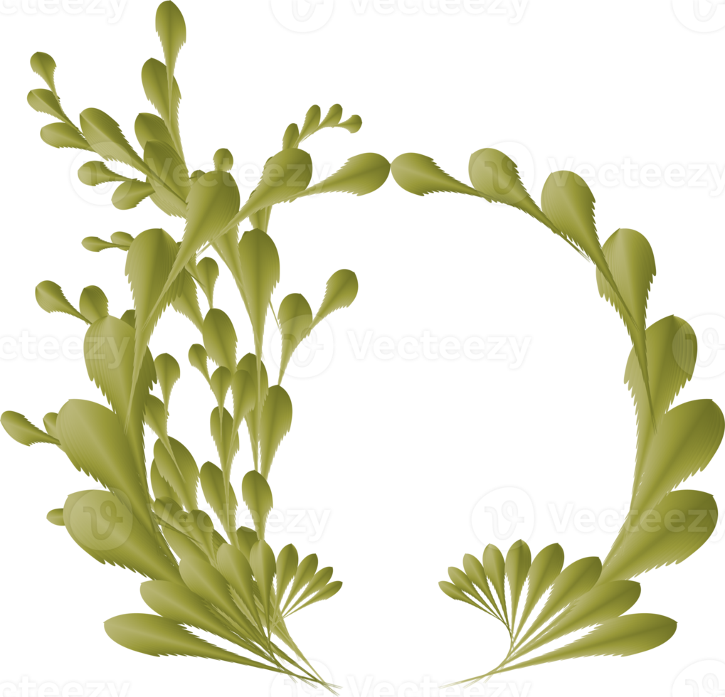 Flower leaf botanical antique for decorative png