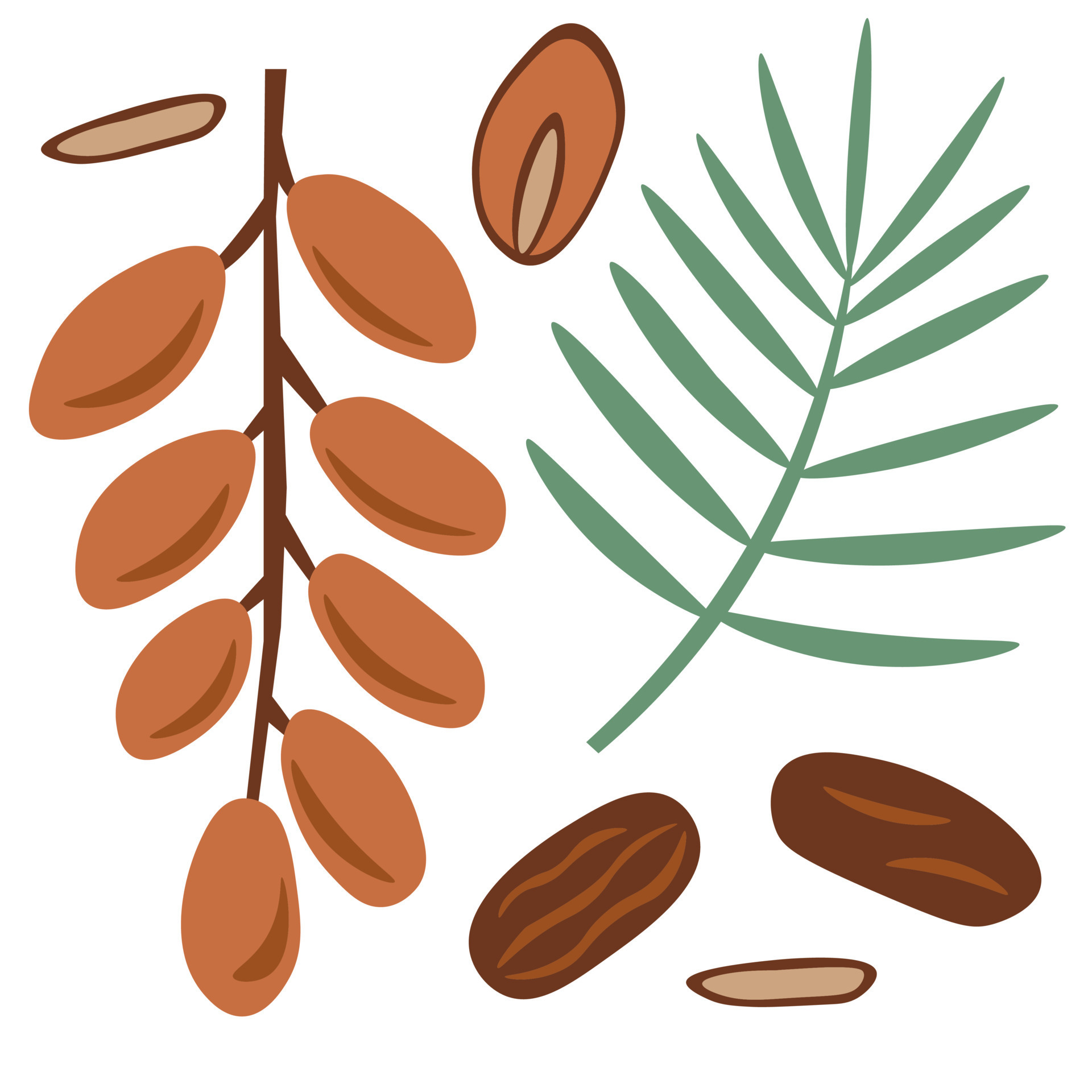Dates elements vector set 9878069 Vector Art at Vecteezy