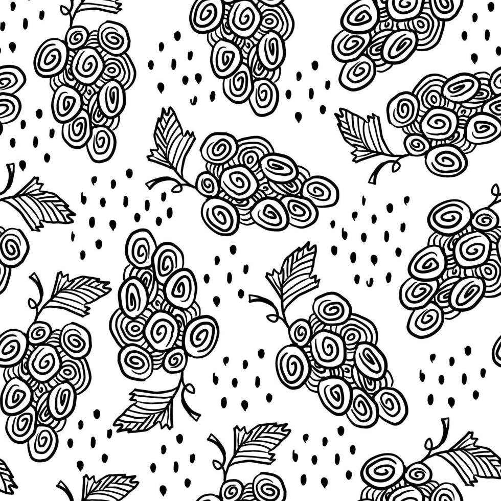 Grape branch doodle Black and white pattern vector