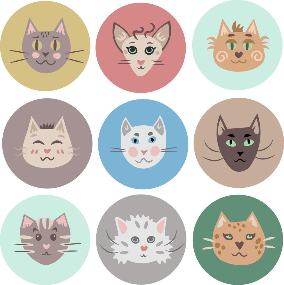 Cats cartoon muzzles round avatars collection vector