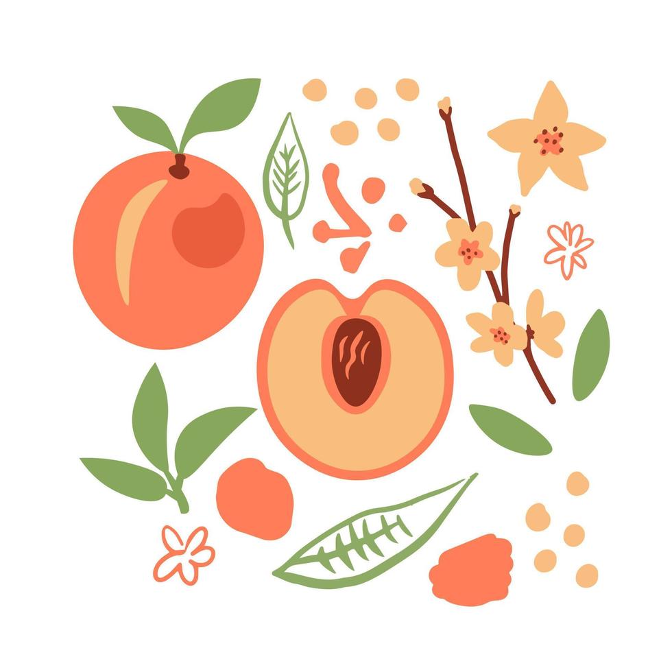 Peach with doodles clip art vector