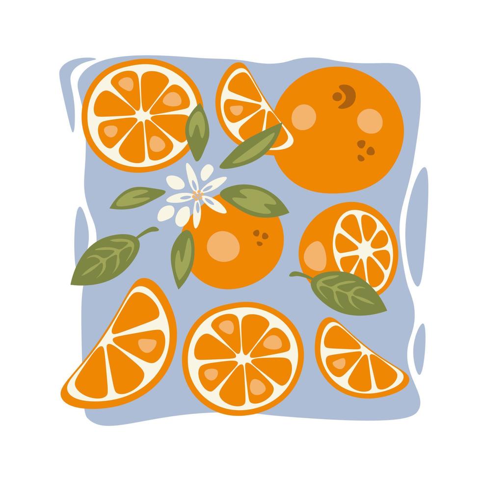 Orange fruit set elements, square vector illustration