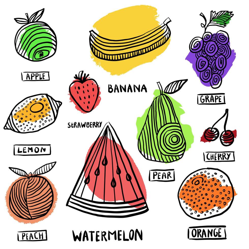 colección de imágenes prediseñadas de doodle de frutas coloridas con letras vector