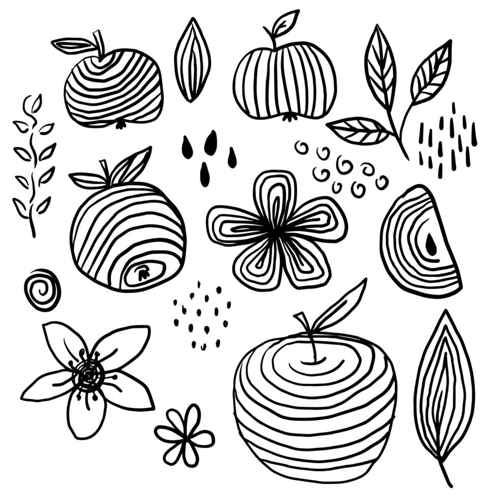 Apples doodle set, black and white clip art 9878497 Vector Art at Vecteezy